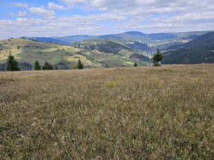 Teren extravilan cu vedere panoramica de vanzare in Bucovina zona Breaza