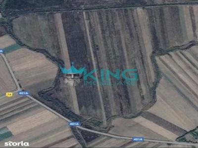 Teren Agricol Arabil 6.4ha / Canal-Irigabil,Apa Tot Anul / Fotovoltaic