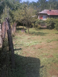 Casa com Șoimari sat lopatnița
