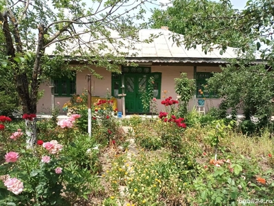 Casa Comuna Stoenesti(Tangîru) jud.Giurgiu