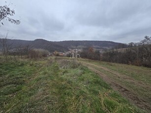 Teren intravilan de vanzare, 3000 Mp, Sighisoara