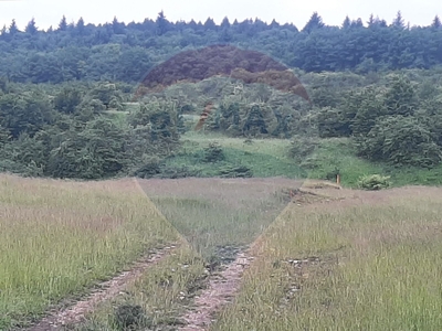 Teren Agricol, Extravilan vanzare, in Cluj, Valcele