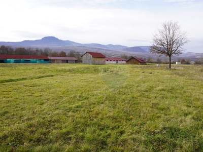 Teren Agricol, Extravilan vanzare, in Maramures, Sapanta