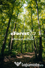 EForest teren la padure 900 mp Crevedia jud. Dambovita