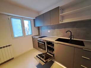 Inchiriere apartament 3 camere Piata Victoriei Inchiriere apartament spatios de 3 cam