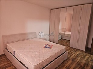 Apartament 1 camera cu contract ANAF- Zona Nicolina- 330 Euro