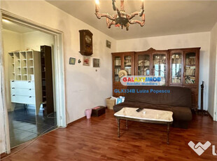 ! APARTAMENT 4 CAMERE TEIUL DOAMNEI