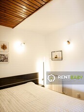 Apartament central cu 1 camera de inchiriat in zona Palas - Hala Centrala