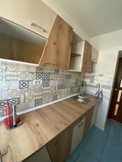 Apartament cu 2 camere, PET FRIENDLY, zona Alexandru Cel Bun