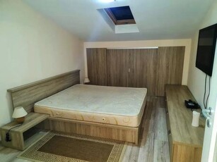 Apartament cu 2 camere, PET FRIENDLY, zona Tatarasi