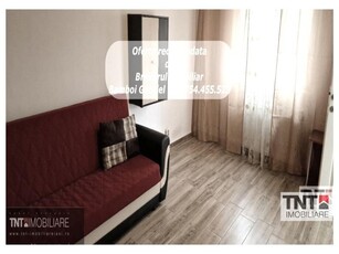 Apartament Tg Cucu Pd Fier 3 Camere