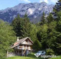 Cabana Plaiul Foii, Zarnesti Brasov