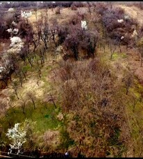 Simte-te In Vacanta In Calinesti - Valeni, Podgoria