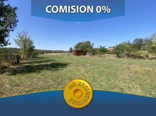 Teren 13329 Mp In Loc. Albota-Mares. COMISION 0%