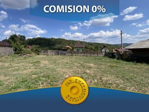 Teren 4000 Mp Intravilan Loc. Aninoasa, Jud Arges. Comision 0%