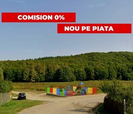 Teren Intravilan Braileni-Valea Ursului-langa Padure, Zona De Agrement Si BBQ