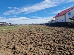 Teren Intravilan Cu Utilitati Mosoaia Arges