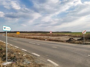 Teren Intravilan si Loturi Ilfov Cernica Posta