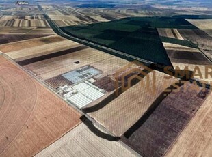 Teren investitie 15.000 mp Baneasa,Giurgiuagricultura/fotovoltaice