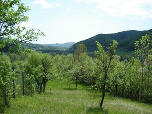 Vanzare Teren in Sat Visinesti, Com. Visinesti, Jud. Dambovita