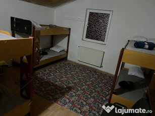 Vila 7 Camere, Sagului-Mures