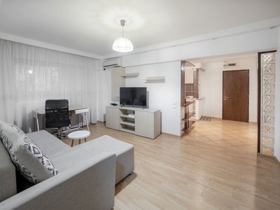 Inchiriere apartament 2 camere Banu Manta, Titulescu, modern