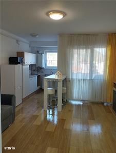 Apartament 1 camera, zona Petre Dulfu