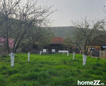 Casa + gradina in satul Ocișor
