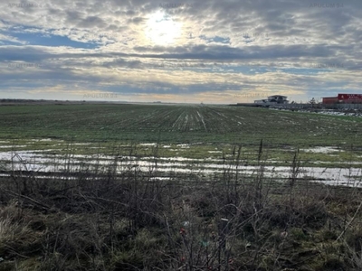 Teren Mihailesti- langa Dovinot.