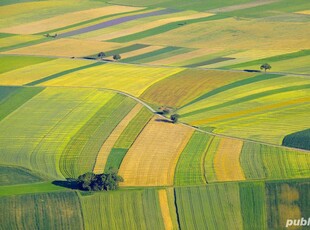 Vând 3 hectare teren agricol , comuna Unirea , județul Călărași