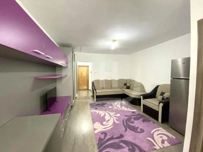 Apartament 1 camera, pet friendly, zona Detunata