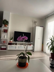 Apartament 2 camere Buna Ziua