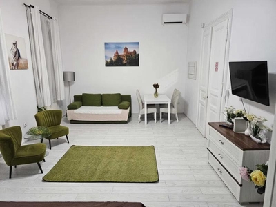 Apartament cu o camera ultracentral