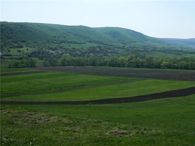 De vanzare doua terenuri extravilane in Ciumafaia, comuna Borsa - Cluj.