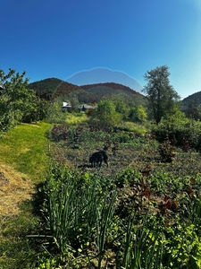 Teren Construcții, Intravilan vanzare, in Piatra-Neamt, Sarata