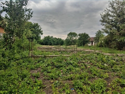 Teren Rafov, Prahova. Vand teren intravilan in satul Rafov