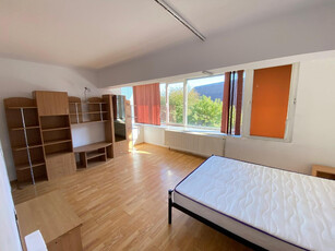 Apartament 1 camera