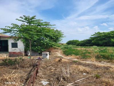 casa situata in Sat Sinoe, comuna Mihai Viteazu