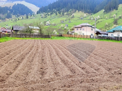 Teren Construcții, Intravilan vanzare, in Neamt, Borca