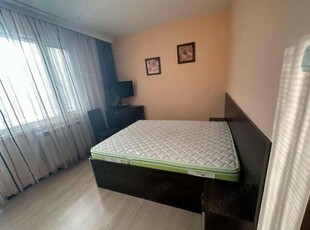 Apartament 2 camere Buziasului Pet Friendly