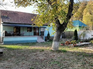 Casa de vanzare sat Odvoș