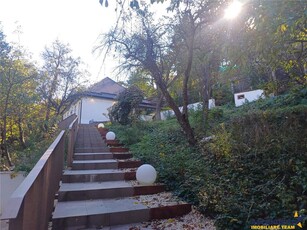 Pet friendly! Casa improspatata, pe 1.000 mp teren, pozitie colinara, Brasov