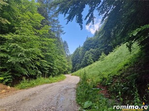 Refugiu la munte:teren pentru turism casa de vacanta,acces apa curgatoare, Moieciu,Bran,Brasov