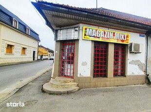 Spatiu Comercial de Vanzare in Lugoj