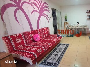 Spatiu comercial zona Bd Transilvaniei 48 mp