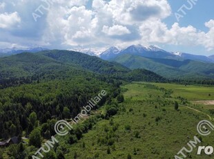 Teren de vanzare in Avrig zona turistica Valea Avrigului