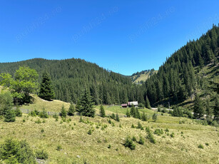 Teren in Bucovina, cota 1100