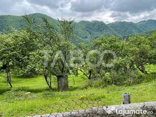 Teren intravilan de vanzare in Martinia de sus