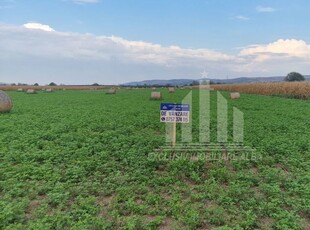 Teren pentru constructii industriale langa soseaua de centura