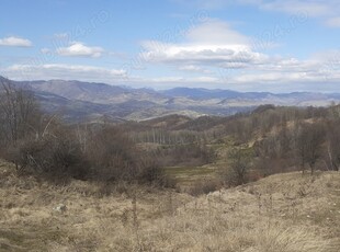 Vand teren extravilan, padure, 20.000mp, Posesti, Prahova